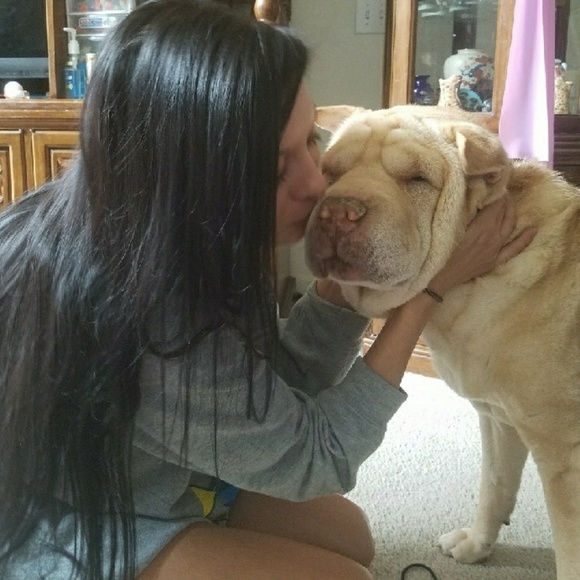 VERY ANIMAL FRIENDLY HOME 🐕🐈🕷🐢🐀❤ - Picture 3 of 16